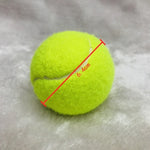 Diameter 24cm Dog Tennis Ball Giant Pet Toys for Dog Chewing Toy Signature Mega Jumbo Kids Toy Ball For Dog Training Supplies