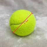 Diameter 24cm Dog Tennis Ball Giant Pet Toys for Dog Chewing Toy Signature Mega Jumbo Kids Toy Ball For Dog Training Supplies