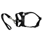 Dog Pet Dog Padded Head Collar Gentle Halter Leash Leader Stop Pulling Training Muzzles Tools