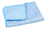 Pet Pad Summer Cooling Mat Dog Beds Mats Blue Pet Ice Pad Cool  Cold Silk Moisture-Proof  Cooler Mattress Cushion Puppy