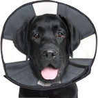 PROCONE SOFT RECOVERY COLLAR