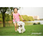 Dogs Leash Adjustable / Retractable Ergonomic Design Solid Colored ABS Black Blue Pink Dalmatian Corgi Beagle Bulldog Shiba Inu Pug