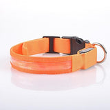 Cat Pets Dog Collar Dog Training Collars LED Lights Electric Glow Solid Colored Nylon Blue Pink Rainbow
