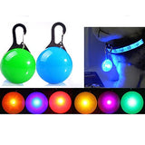 Cat Dog Tag LED Lights Batteries Included Solid Colored Plastic Transparent White Orange