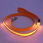 Cat Dog Leash LED Lights Nylon Red Green Blue
