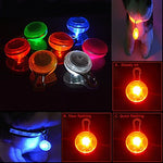 Cat Dog Tag LED Lights Batteries Included Solid Colored Plastic Transparent White Orange