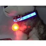 LED Pendant Pet Tags for Dogs Cats