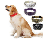 Dog Collar Portable Solid Colored PU Leather Black Brown White