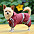 Dog Rain Coat Raincoat Dog Clothes Yellow Green Red Costume.