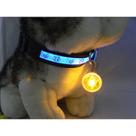 LED Pendant Pet Tags for Dogs Cats